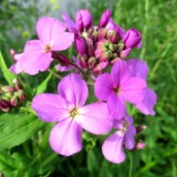 2305F 023 Marburg-Trier